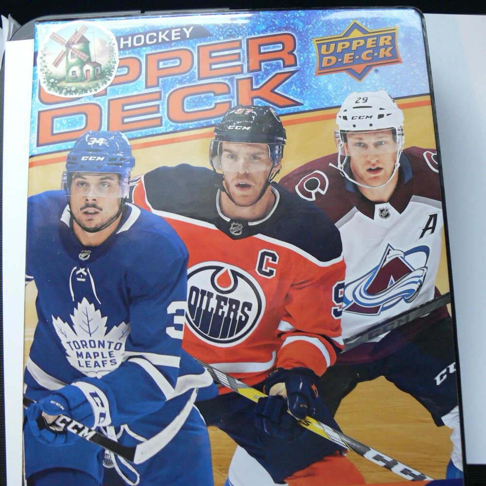250+ HOCKEY CARDS IN 14 PAGE POCKET SLEEVE ALBUM.